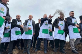 Harmancık’ta yanan 4 bin 256 hektar alan ağaçlandırılıyor