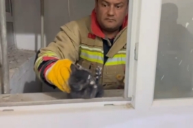 Hatay’da havalandırma boşluğuna düşen yavru kedi kurtarıldı