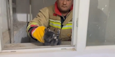 Hatay’da havalandırma boşluğuna düşen yavru kedi kurtarıldı
