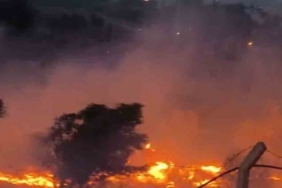 Hatay’da otluk alanda çıkan yangın kısa sürede söndürüldü