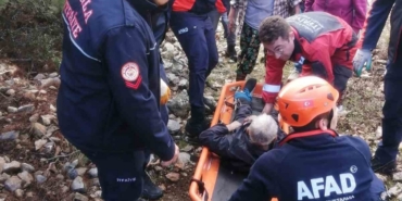 Hayvan otlatırken kayalıklardan düştü