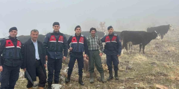 Hayvanları kaybolan kişinin imdadına jandarma yetişti
