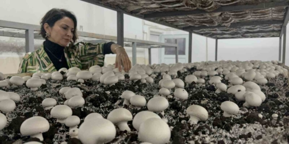 Hem eğitim görüp hem üretiyorlar