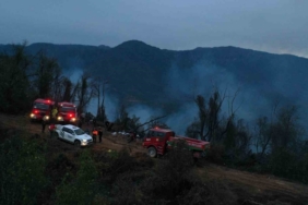 Hopa’daki orman yangını söndürüldü, soğutma çalışmaları sürüyor