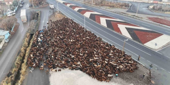 Iğdırlı göçerler, zorlu yolculuğun ardından Iğdır’a ulaştı