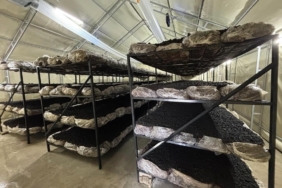 İlçenin ekonomisine yeni soluk