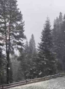 Ilgaz Dağı’nda kar yağışı etkili olmaya başladı