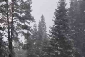 Ilgaz Dağı’nda kar yağışı etkili olmaya başladı