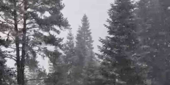 Ilgaz Dağı’nda kar yağışı etkili olmaya başladı