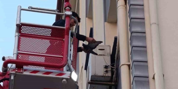 İskenderun’da klima motoruna dolaşan kuş kurtarıldı