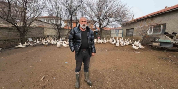 İstanbul’dan memleketi Yozgat’a döndü, binlerce hayvan üreterek geçimini sağlıyor