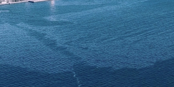 İzmir Körfezi’nde çevre kirliliği