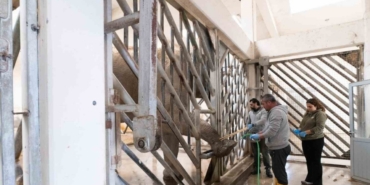 İzmir’de fillere hayat kurtaran ayak bakımı