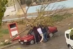İzmir’de park halindeki otomobilin üzerine ağaç devrildi