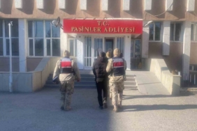 Jandarma büyükbaş hayvan hırsızlarını kısa sürede yakaladı