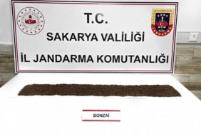Jandarma uyuşturucuya geçit vermiyor: 1 tutuklama