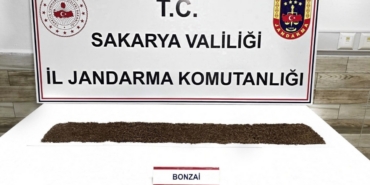 Jandarma uyuşturucuya geçit vermiyor: 1 tutuklama