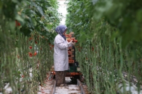 Jeotermal, 2025’te yatırım uykusundan uyandı