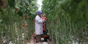 Jeotermal, 2025’te yatırım uykusundan uyandı