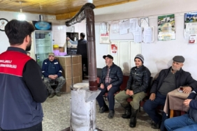 Kaliteli kaba yem et ve süt verimini arttırır