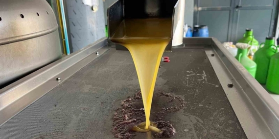 Kara meyve altın sıvıya dönüşüyor