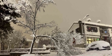 Karabük’te kar ağırlığına dayanamayan çok sayıda ağacın dalların kırıldı