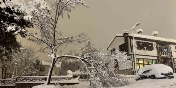 Karabük’te kar ağırlığına dayanamayan çok sayıda ağacın dalların kırıldı