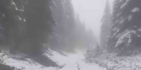 Karabük’ün yüksek kesimlerinde kar yağışı devam ediyor