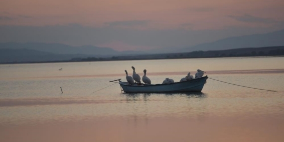 Karacabey’de çeltik ekimi yasaklandı