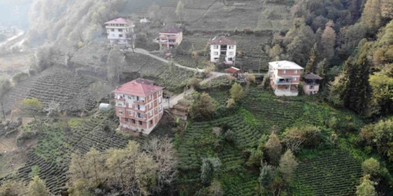 Karadeniz’de tuğlalı yapılar hem göze hem de cebe zarar