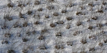 Karadeniz’deki kar yağışı, fındık ve diğer tarım ürünlerine yaradı