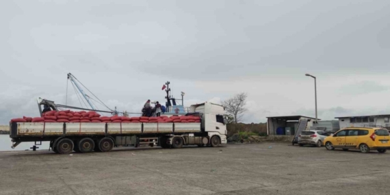 Karadeniz’den çıkartılan beyaz kum midyesine sıkı denetim