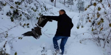 Kargayı atmacanın pençelerinden yoldan geçen vatandaşlar kurtardı