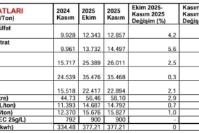 Kasım ayında 24 market ürününde fiyat düşüşü gözlemlendi