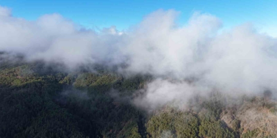 Kastamonu’da sis bulutları ve ormanların buluşması mest etti