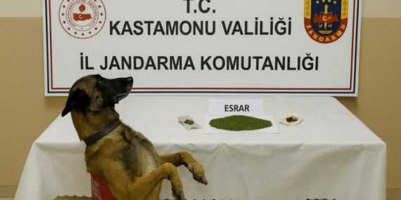 Kastamonu’da uyuşturucu operasyonu: 1 tutuklama