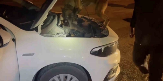 Kastamonu’da uyuşturucu operasyonu: 5 tutuklama