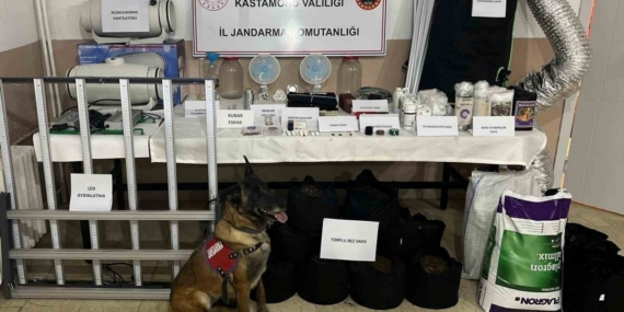 Kastamonu’da uyuşturucu operasyonu: 6 gözaltı