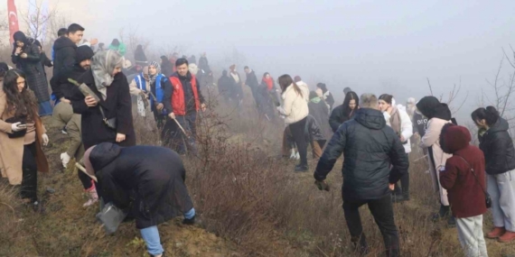 KBÜ’lü öğrenciler 500 çam fıstığı fidanını toprakla buluşturdu