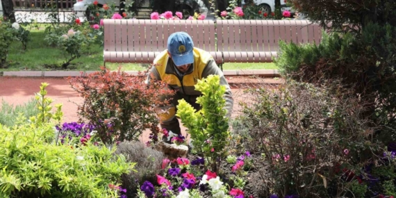 Keçiören’de seradan parklara uzanan yeşil yolculuk