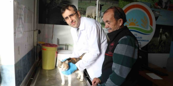 Kedi ve köpeklere mikroçip uyarısı: 31 Aralık son gün