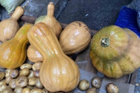 Kendisi ayrı, çekirdeği ayrı şifa kaynağı