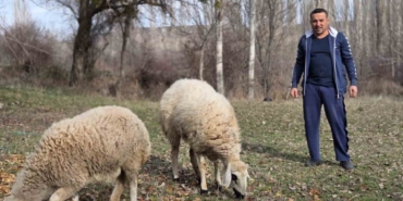 Kesmek için aldığı koyunlara şimdi antrenörlük yapıyor