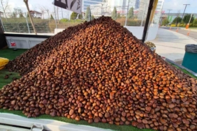 Kestane sezonu açıldı: Kilosu 175 lira