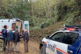 Kestiği ağacın çarptığı vatandaş uçuruma yuvarlandı