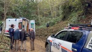 Kestiği ağacın çarptığı vatandaş uçuruma yuvarlandı