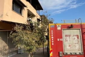 Kırıkhan’da çatıda mahsur kalan kediyi itfaiye kurtardı