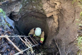 Kırkağaç’ta kuyuya düşen köpek itfaiye ekiplerince kurtarıldı