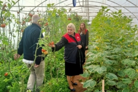 Kırklareli’nde sera kontrolleri