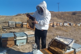 Kışa hazırlanan üreticiden sahte bal uyarısı